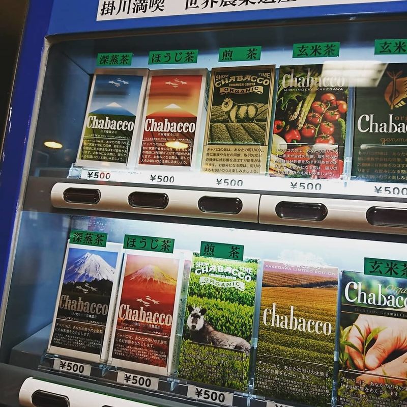 Chabacco: a retro way to enjoy Shizuoka tea varieties photo