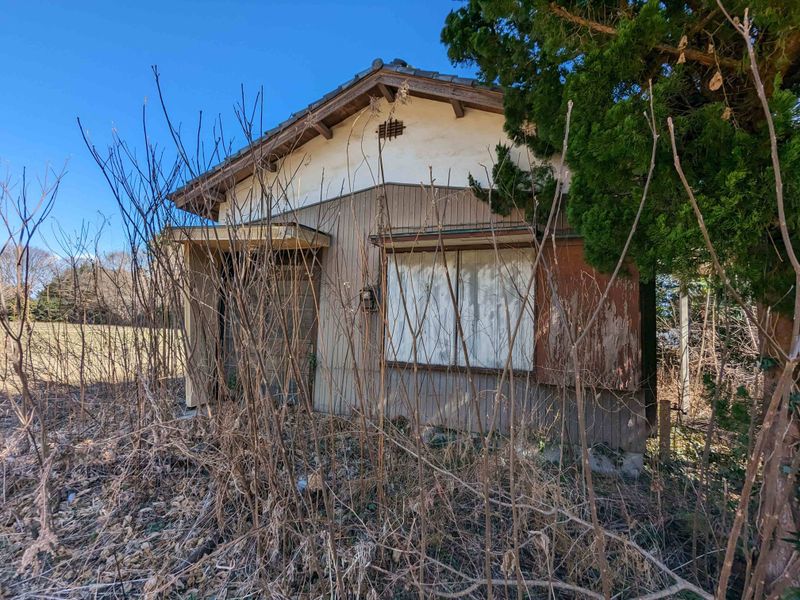 The Rising Problem of Vacant Homes photo