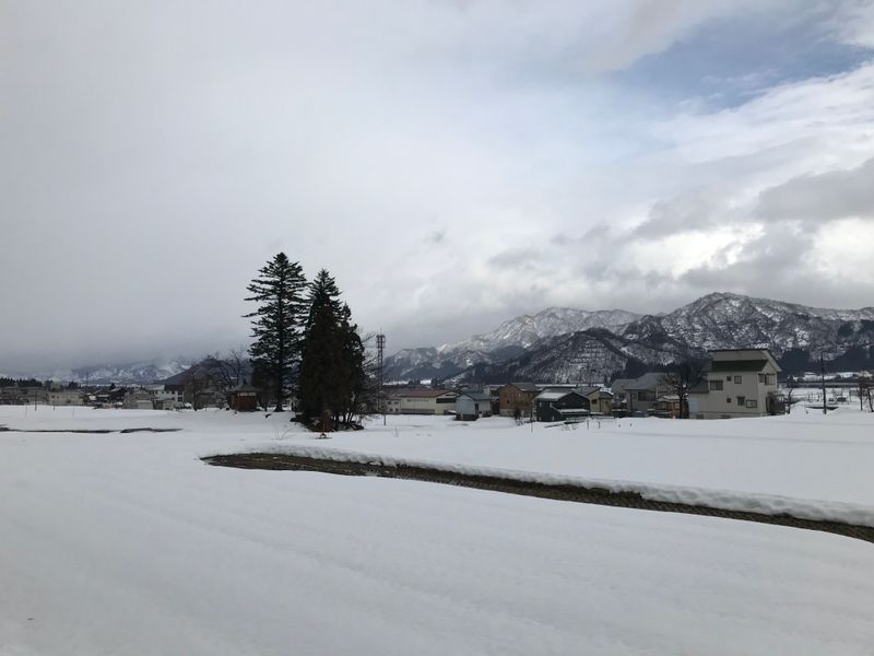 Sobering stats about snow deaths this year, particularly for Niigata photo