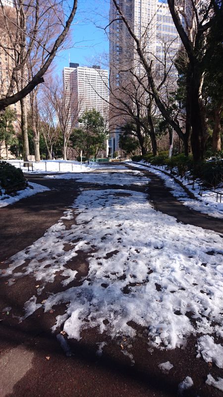 Snow Removal Tokyo Style or The Case of the Missing Snowmen photo