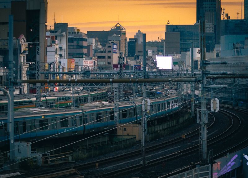 Ranking reveals Japan’s most annoying train passengers photo