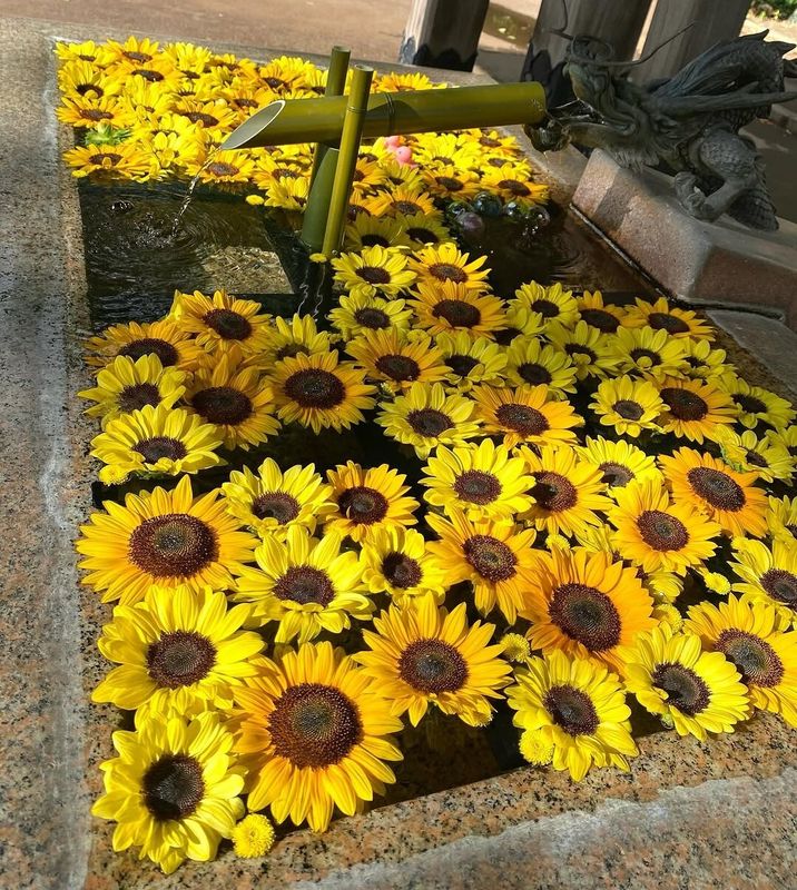 Microdosing your seasonal blooms photo