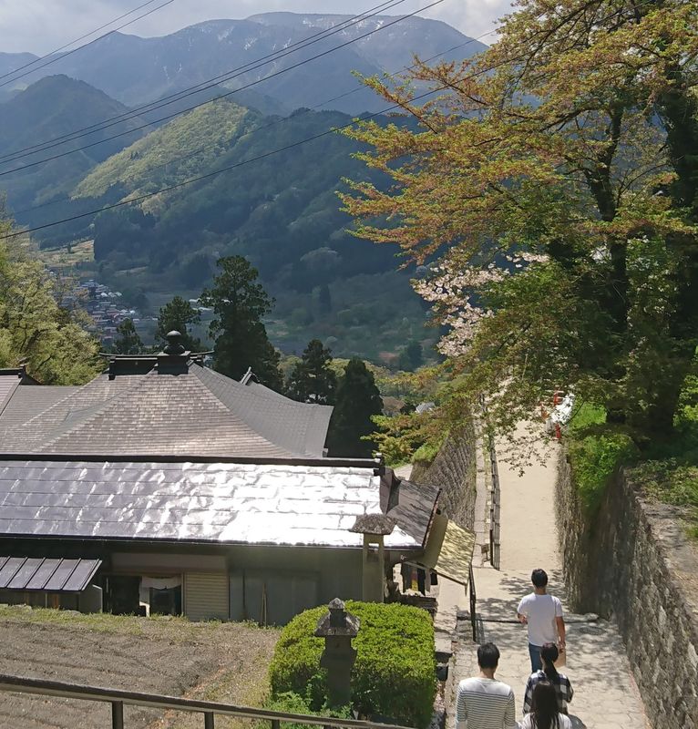 Top 5 Nature Spots for Any Season in 2020 Japan photo