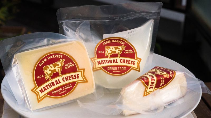 I dream of cheese (from Kobayashi City) photo