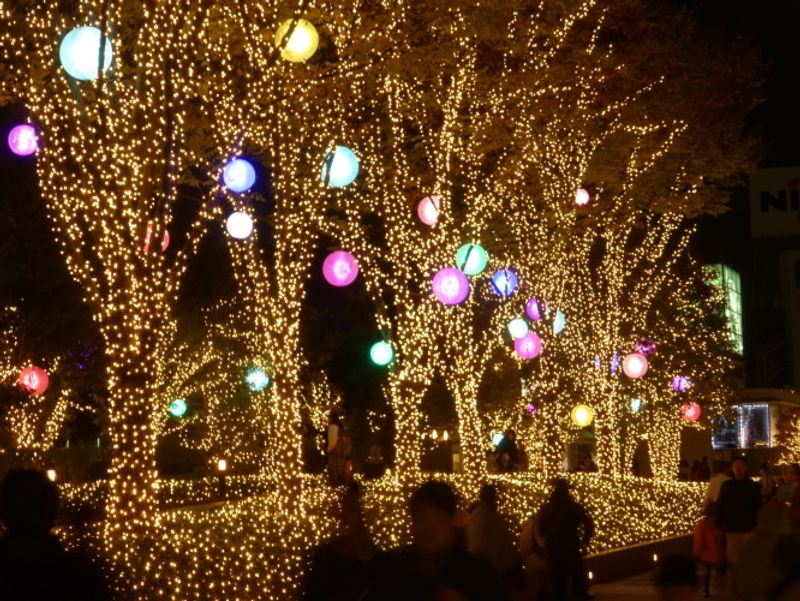 日本的冬季灯饰：光芒！ photo
