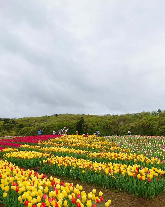 Does your part of Japan increasingly feel like it has just two seasons? photo