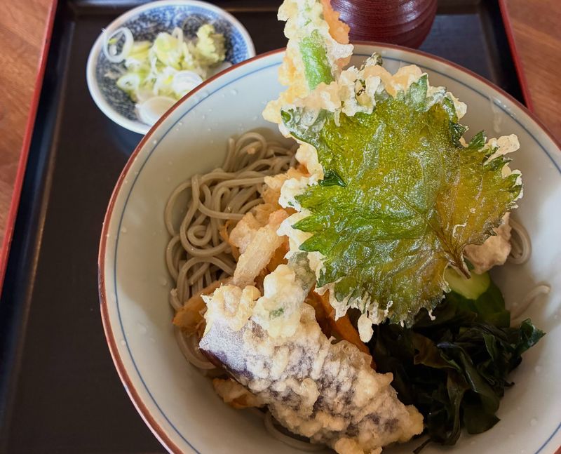 Is Japan's summer heat getting harder as we get older? photo
