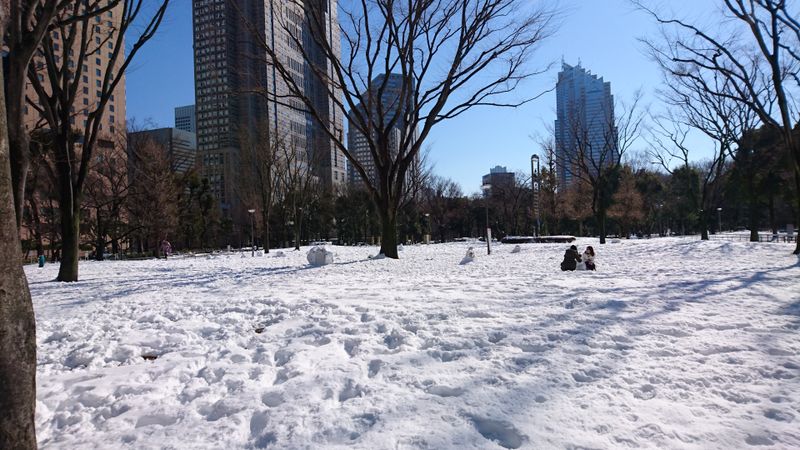 Snowkyo Snowmen photo