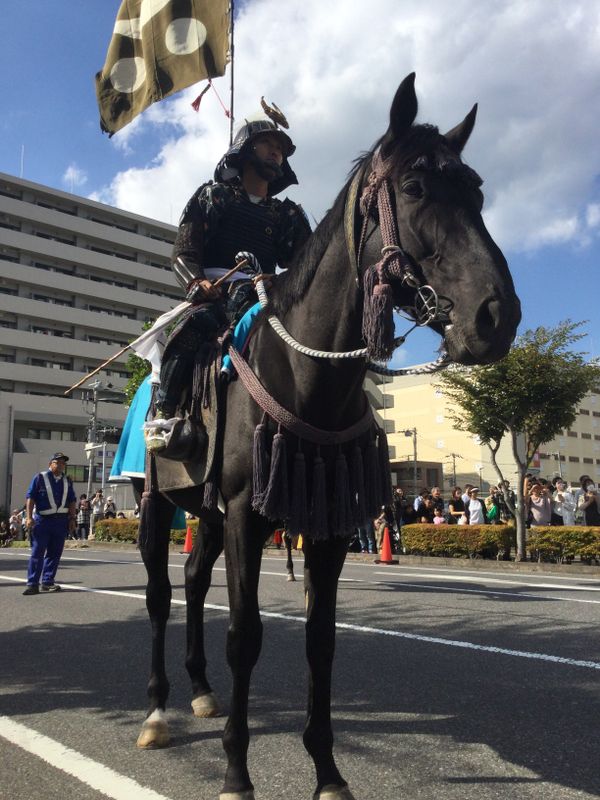 Kamagaya Shimin Matsuri in Autumn 2024 photo