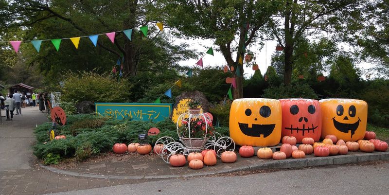 Jardim Yakurai para ótimas fotos de família no outono e diversão photo