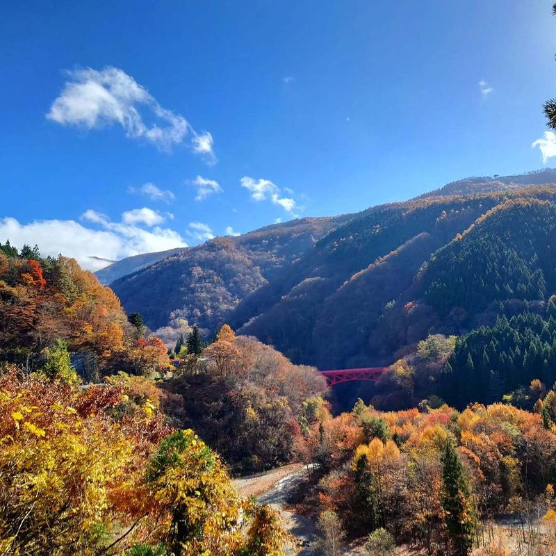 October Theory's parallels to Japan's year-ending practices photo