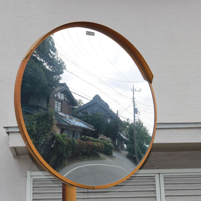 A day for mirrors photo