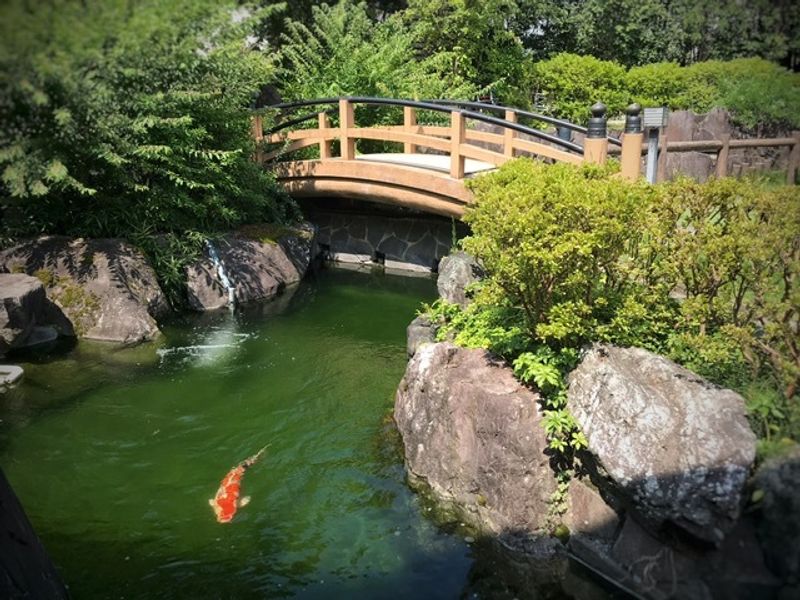 新潟県のひれと毛皮 photo