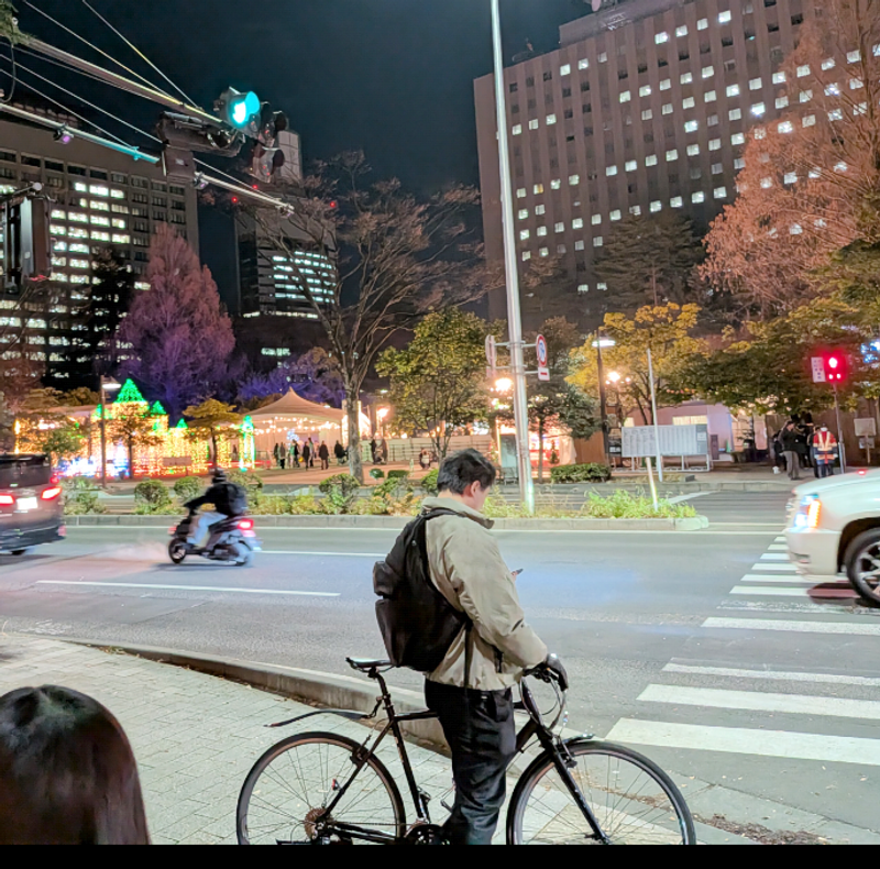 Sendai's Pageant of Starlight 2025: Lights and Ice photo
