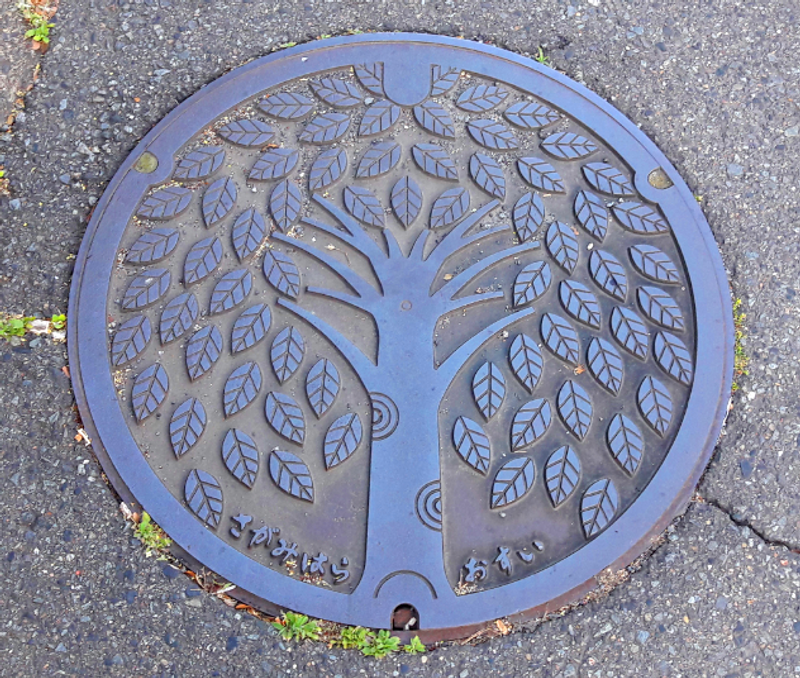 The Manholes of Sagamihara City photo