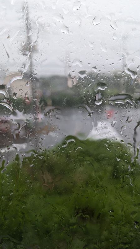 Microseason: Great Rains and Sudden Downpours photo