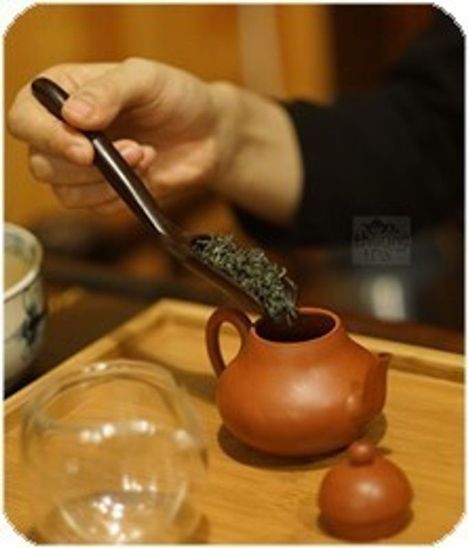 ベトナム茶と静岡茶 photo
