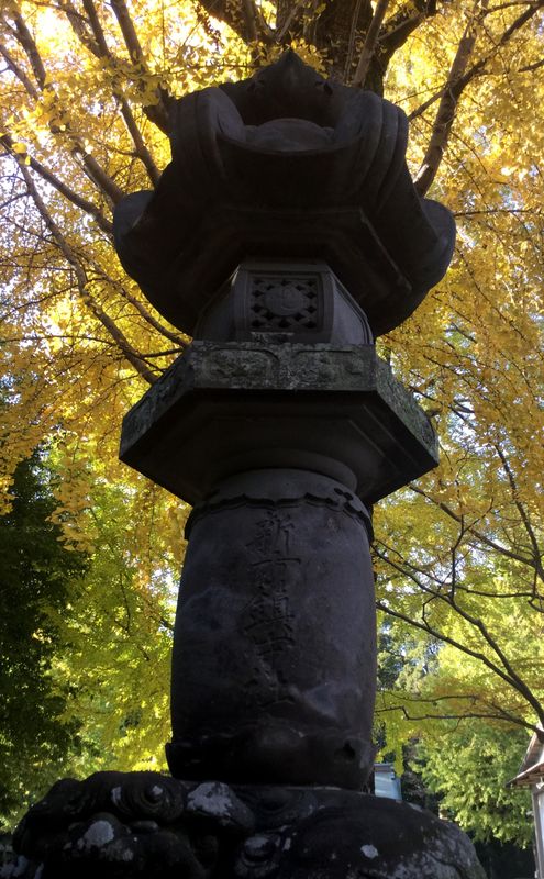 Kasukabe Hachiman autumn mini pilgrimage photo