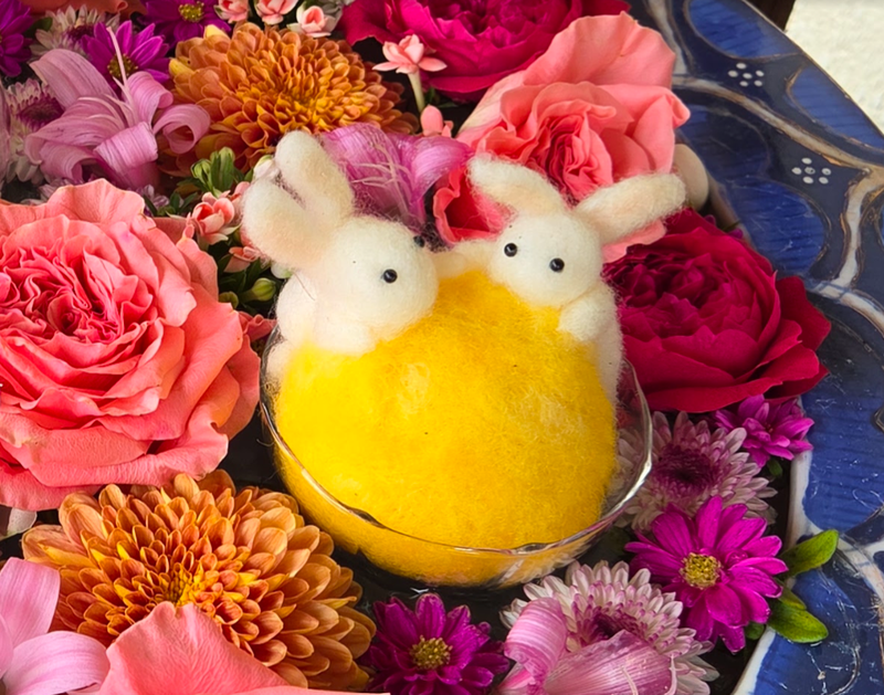 Why Do Japanese People See a Rabbit in the Moon? photo