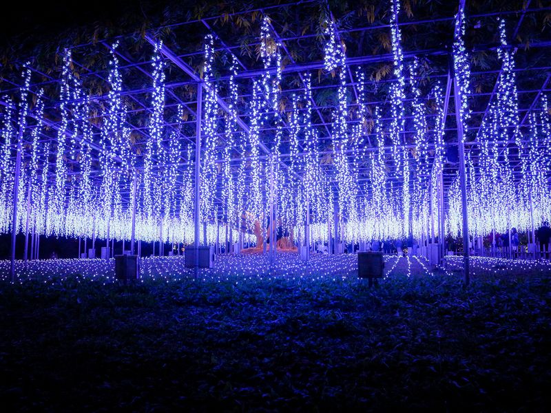 Images of Japan: November 2022 photo