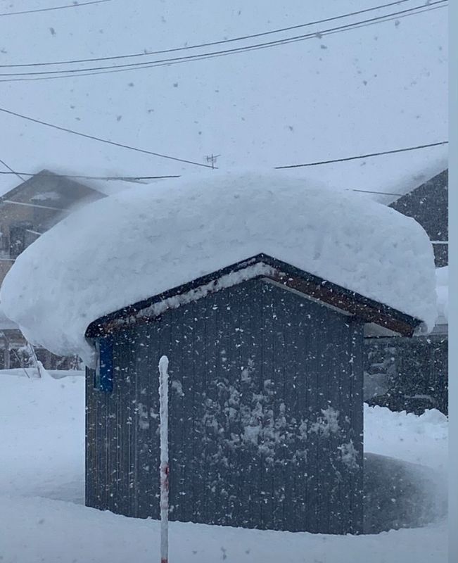 The crazy snow of the past week photo