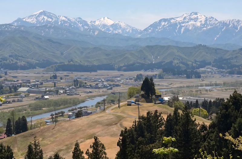 Record sightings in Niigata mean you need to be bear-aware photo