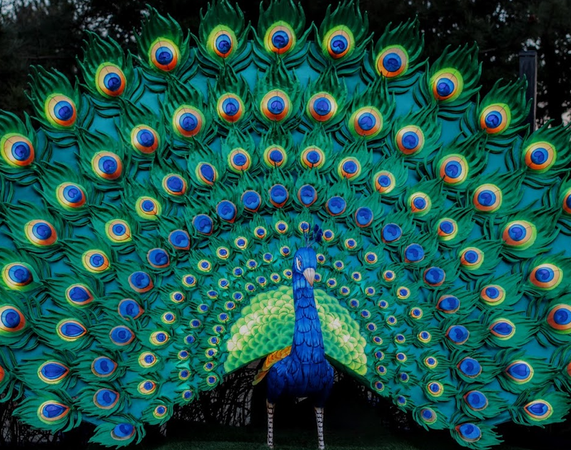 The Annual Night Zoo at Saitama Children's Zoo photo