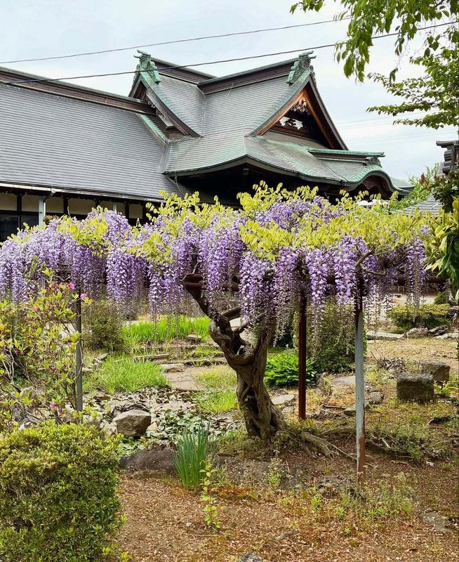 Would you live in a stigmatized property to save money in Japan? photo