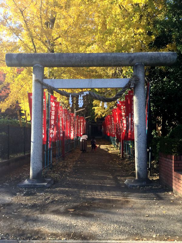 Kasukabe Hachiman autumn mini pilgrimage photo