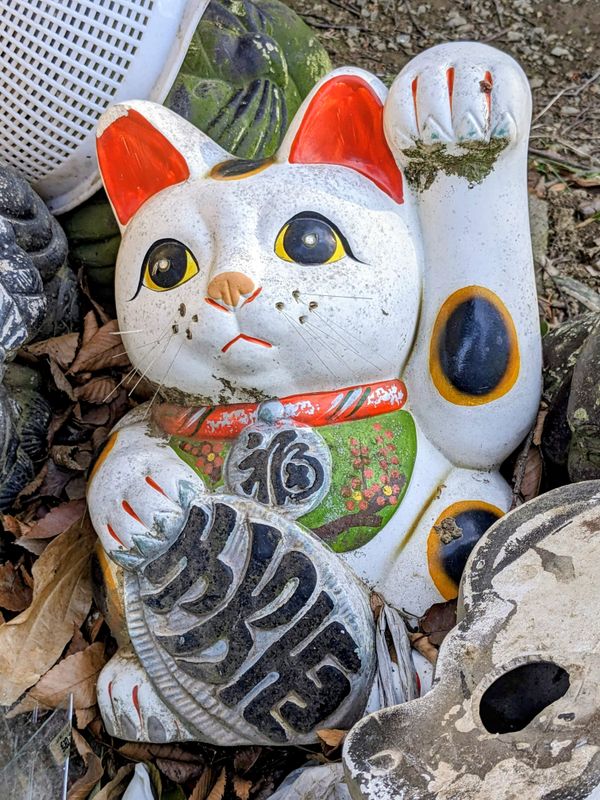 The day of the beckoning cat photo