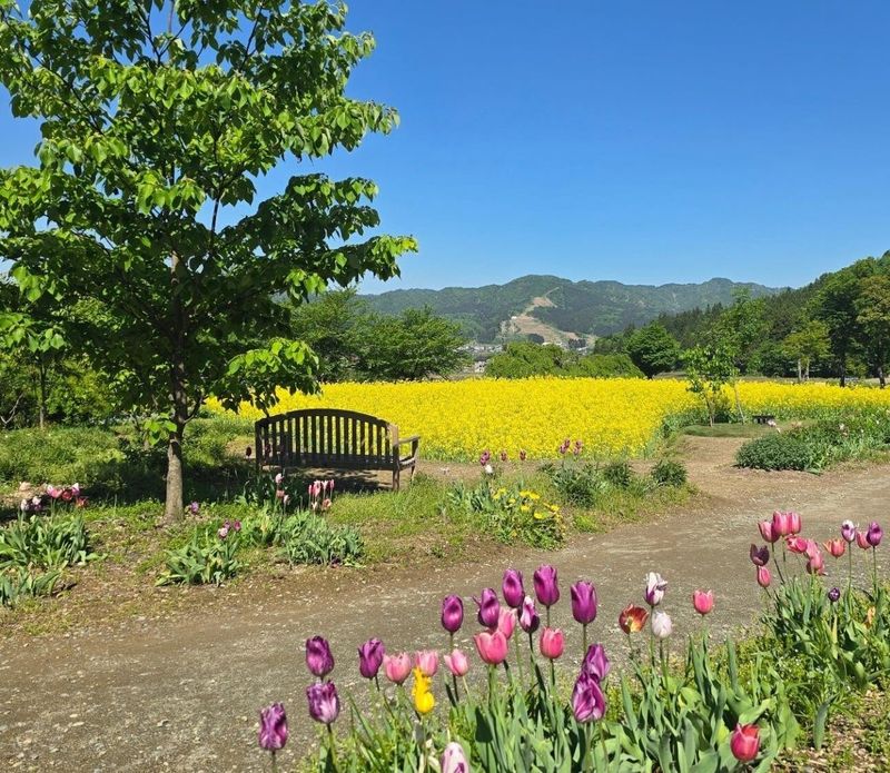 Remote work making rural living more appealing to some photo