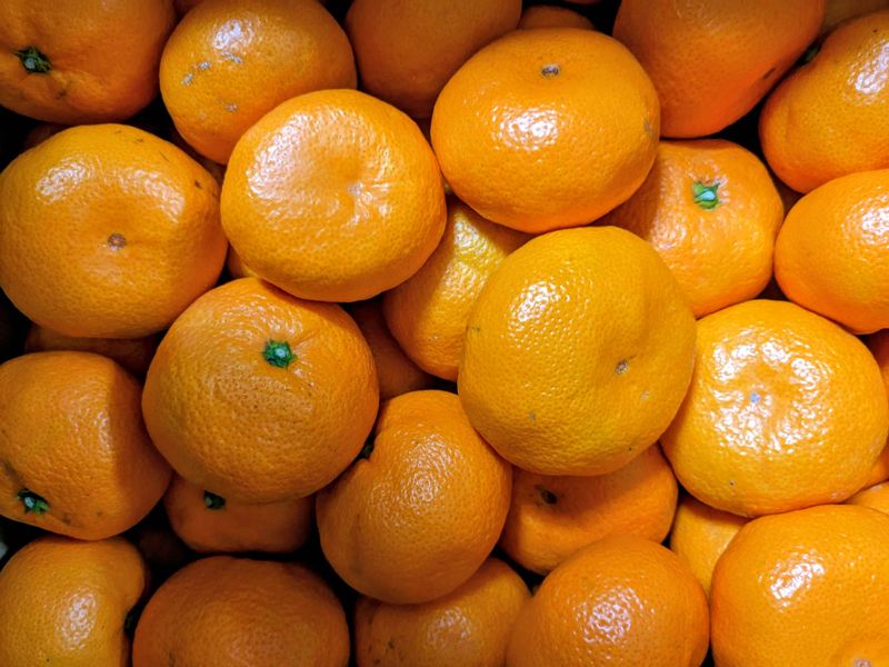 A day for orange and oranges! photo