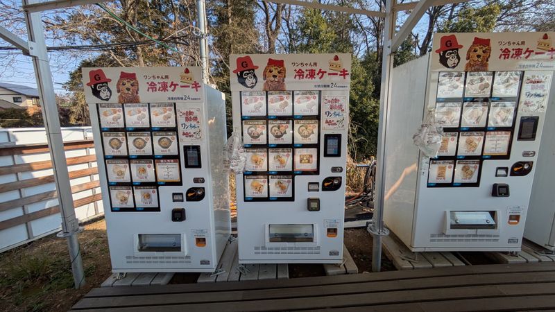 Vending machine frozen cake... for dogs photo