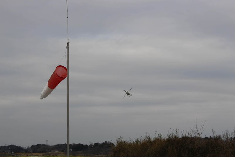 How "haru ichiban" became mainstream photo