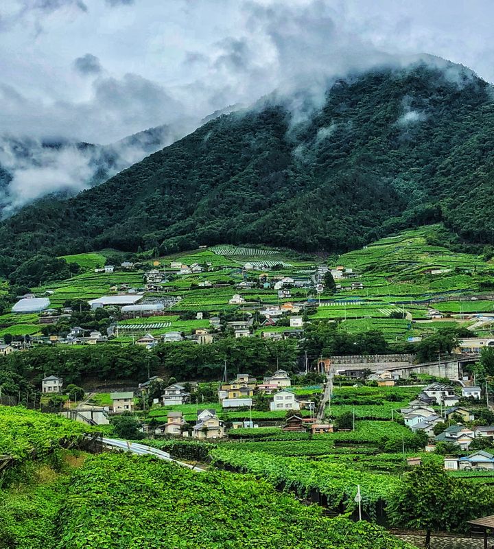 Best travel destinations in Japan in 2020 photo