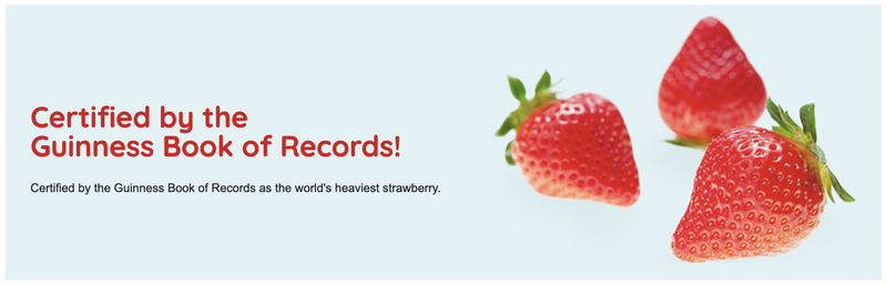Fujiya LOOK Chocolate - Strawberry Sauce  photo