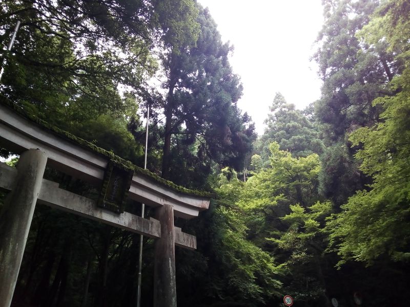 Rain Day in Southwest Japan photo