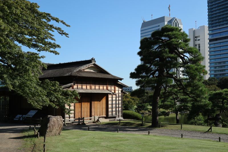 A visit to the Hamarikyu Gardens, Tokyo photo