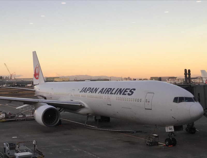 Festival Salju Sapporo dengan Japan Airlines photo