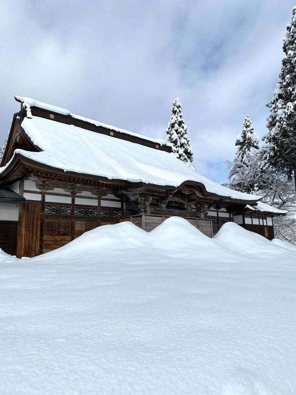 The reality of life in snow country! photo