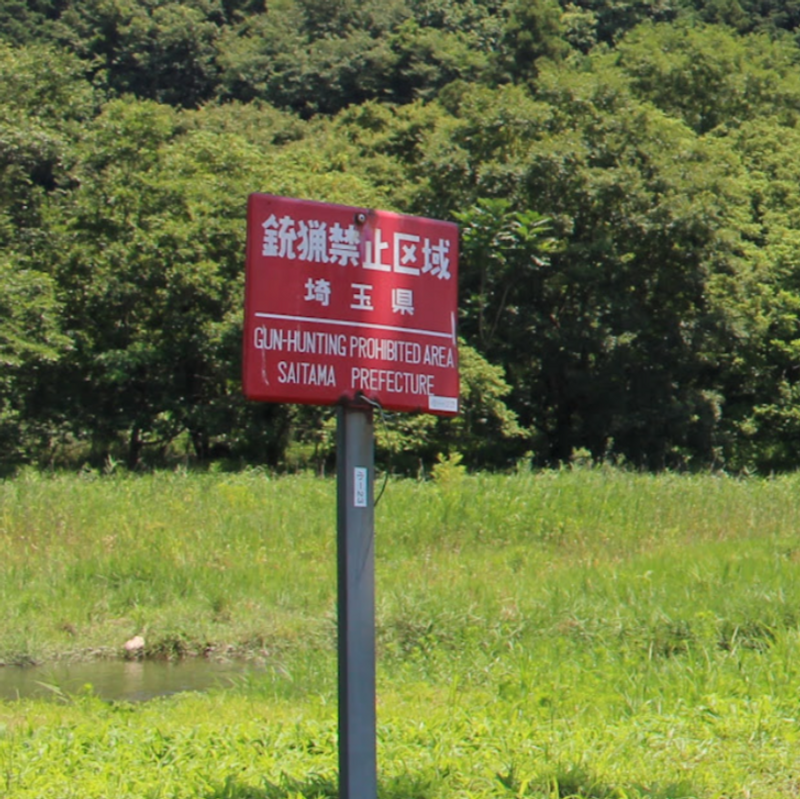 National Hunting Prohibition Day photo