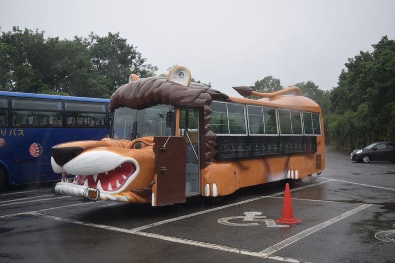 Things I didn't try early on: A car safari photo