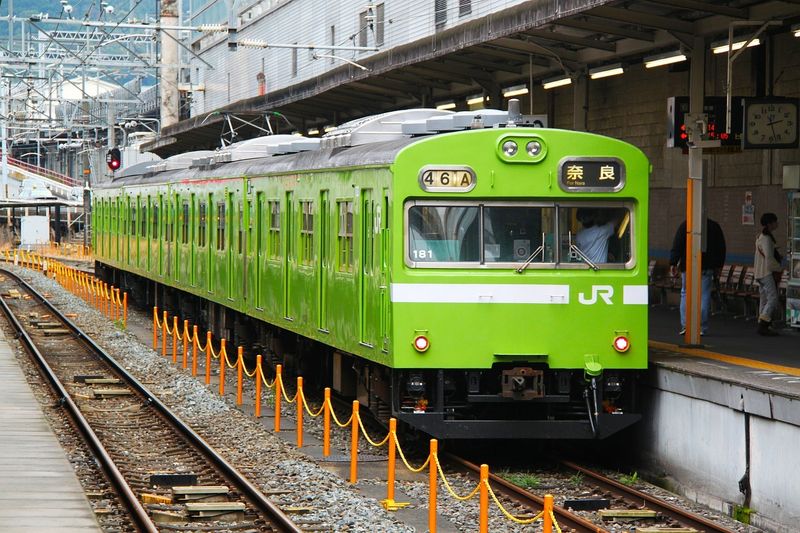 How much does it cost to travel from Osaka to Nara by train and taxi? photo