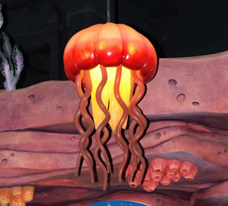 The 9th is always "Enosui" Jelly fish day photo