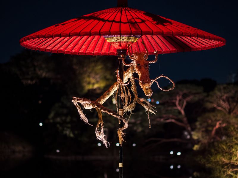 Spring in the air at Tokyo’s Rikugien Gardens night viewing event photo