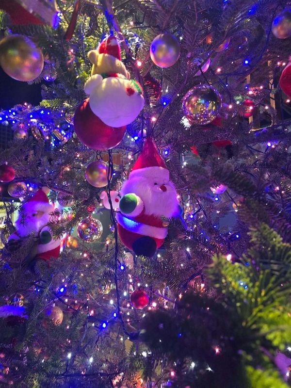 Some festive season recommendations across Niigata Prefecture photo