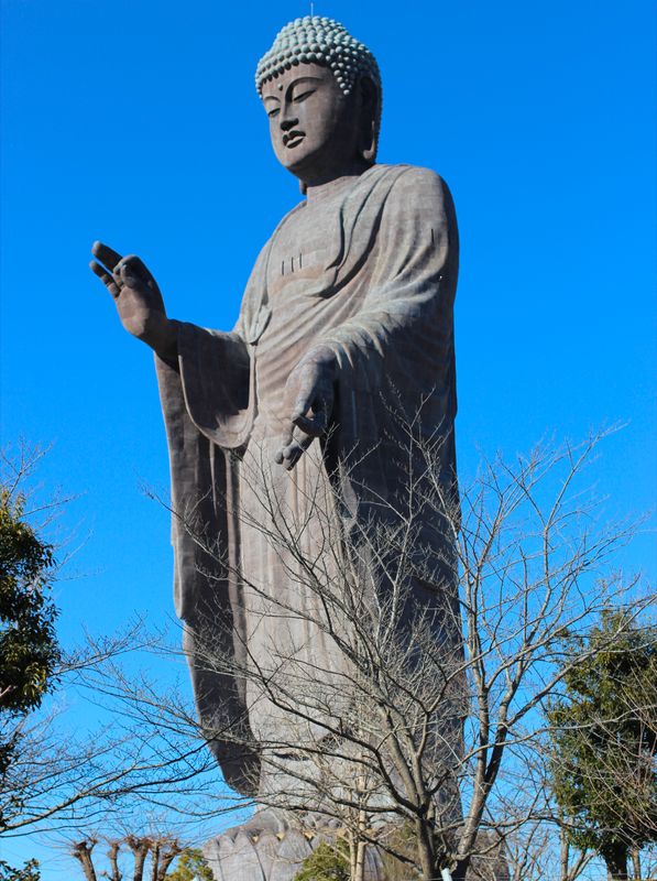 Ibaraki prefecture day  photo