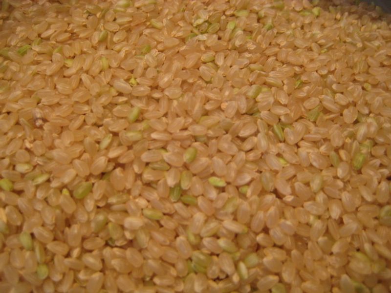 Brown Rice photo