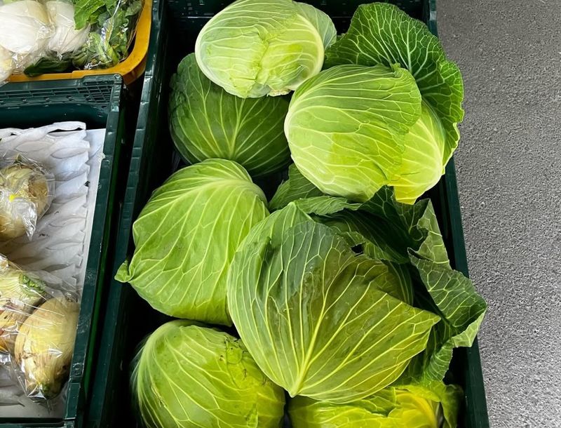 Vogue spotlights cabbage, but it's more than a trend here in Japan photo