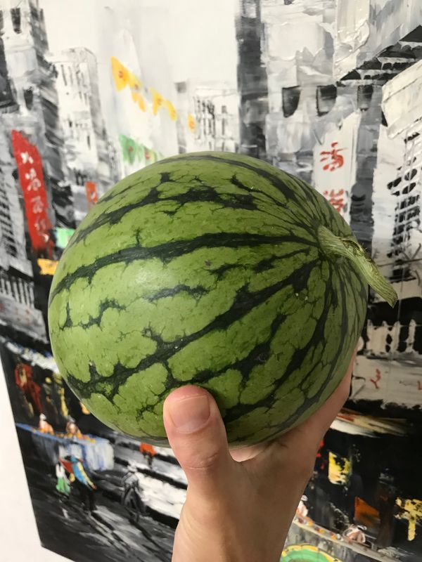 First Watermelon of the Season!!! photo